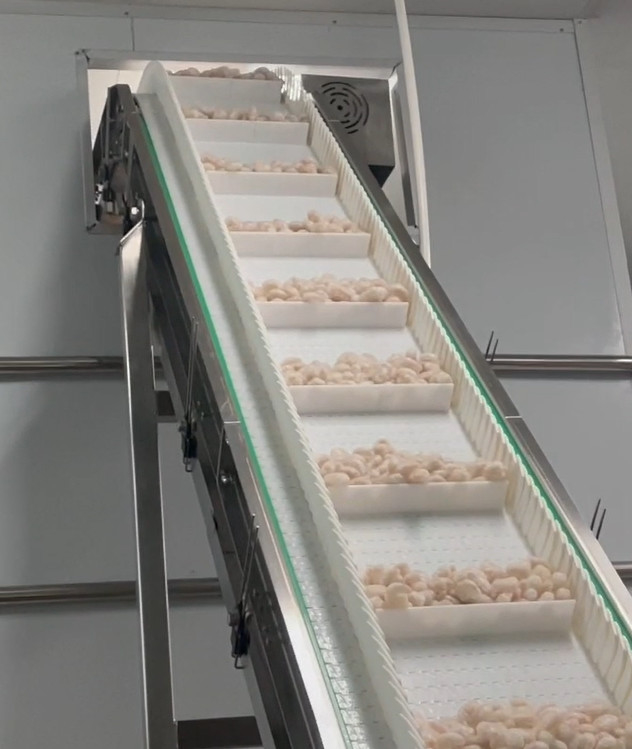 Máy đóng gói cân SS 304 Hệ thống đóng gói xưởng đóng gói tôm Icy Trọng lượng mục tiêu 200g ~ 1500g