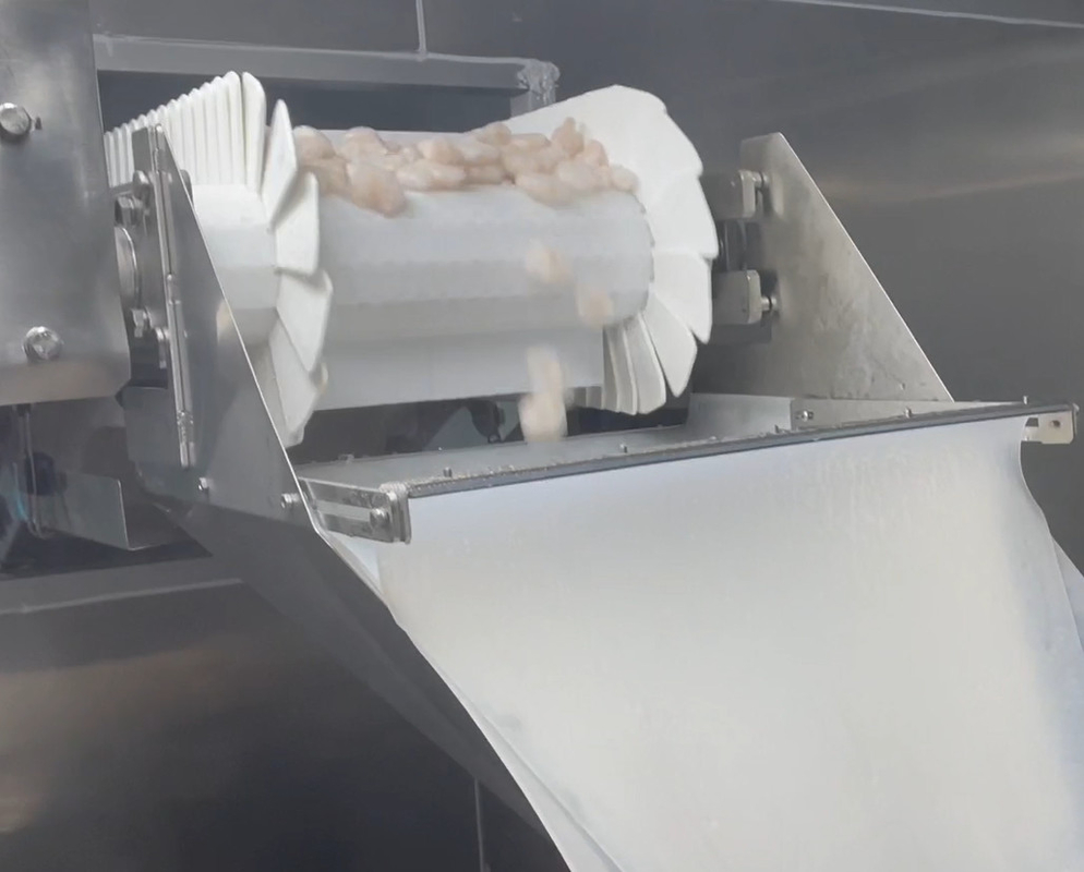 Máy đóng gói cân SS 304 Hệ thống đóng gói xưởng đóng gói tôm Icy Trọng lượng mục tiêu 200g ~ 1500g
