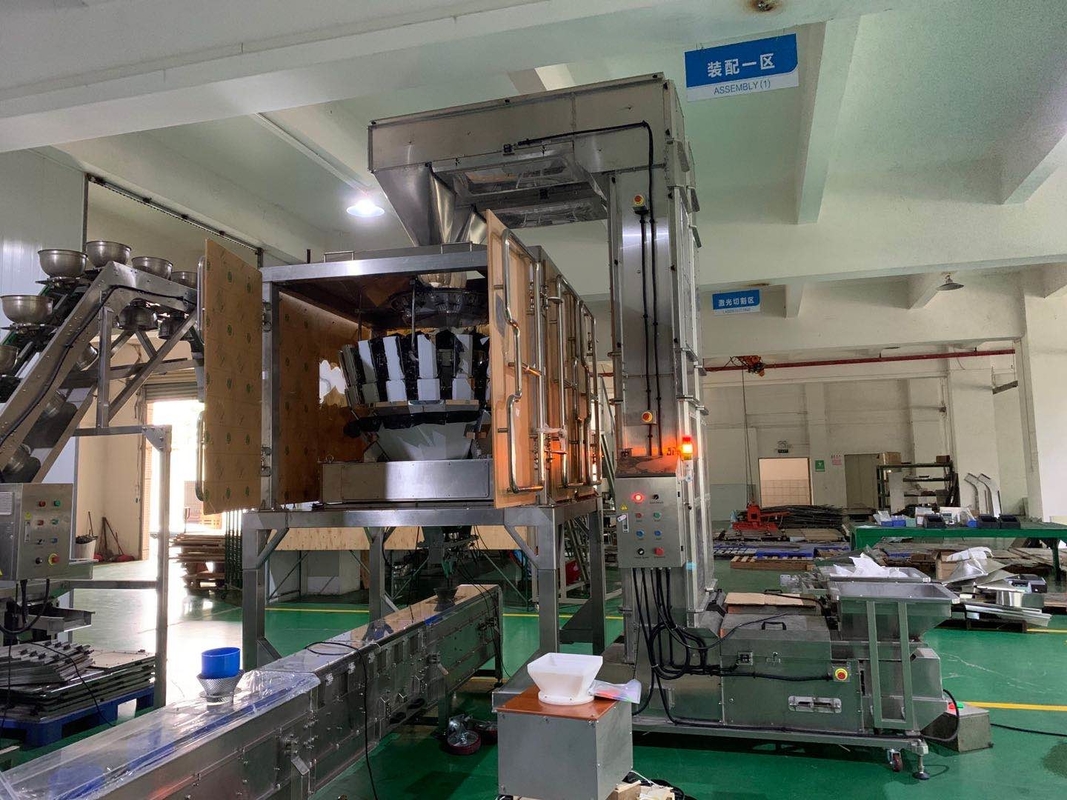 thang máy gầu loại Z tùy chỉnh hoạt động với hệ thống đóng gói cân định lượng nhiều đầu
