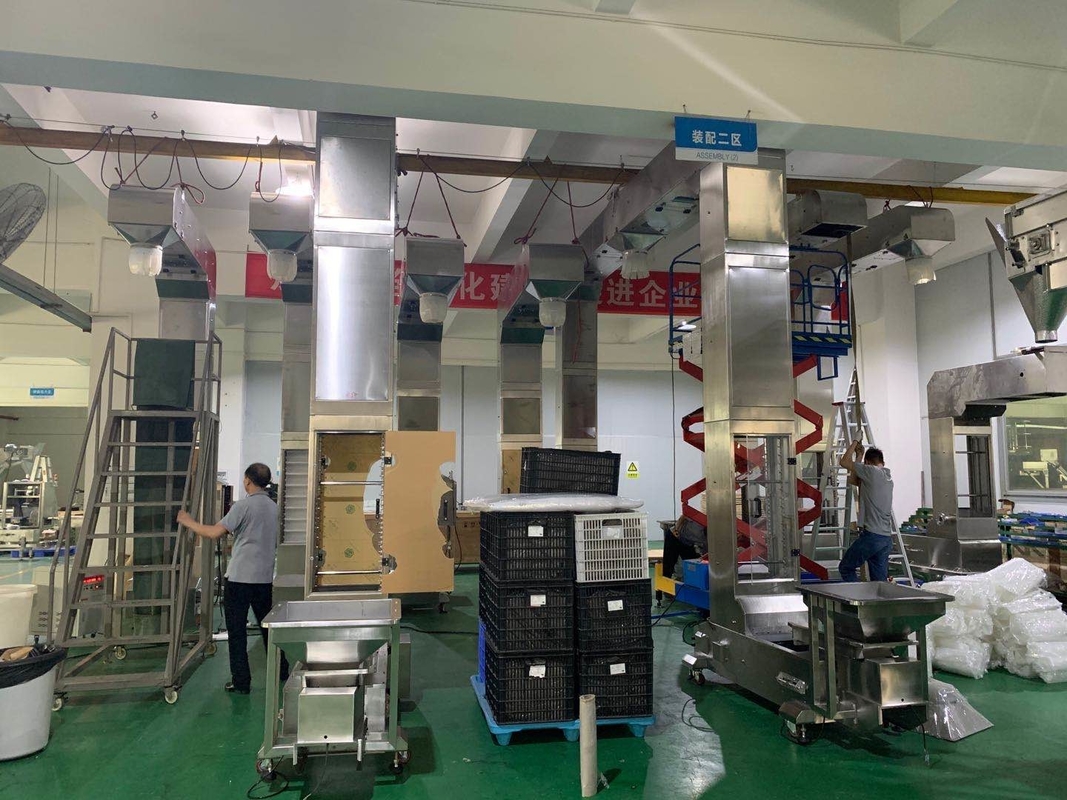 thang máy gầu loại Z tùy chỉnh hoạt động với hệ thống đóng gói cân định lượng nhiều đầu