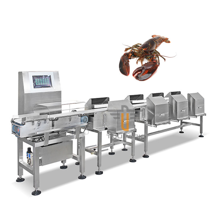 Máy phân loại trọng lượng tôm hùm Úc có độ chính xác cao Máy phân loại 2 cấp 6 cấp