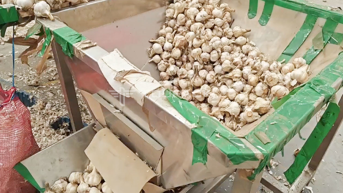 OEM Máy cân tự động Pouch Bean Sprout Coriander Khoai tây Tỏi Baby Carrot Packing Machine