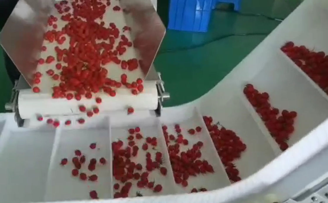 Hệ thống cân và đóng gói tự động cân nhiều đầu SUS304 cho trái cây đông lạnh Cherry trong hộp