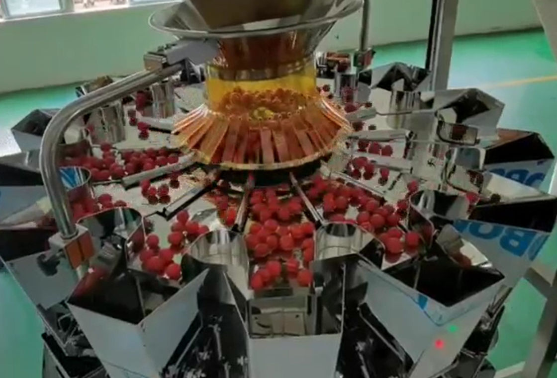 Hệ thống cân và đóng gói tự động cân nhiều đầu SUS304 cho trái cây đông lạnh Cherry trong hộp