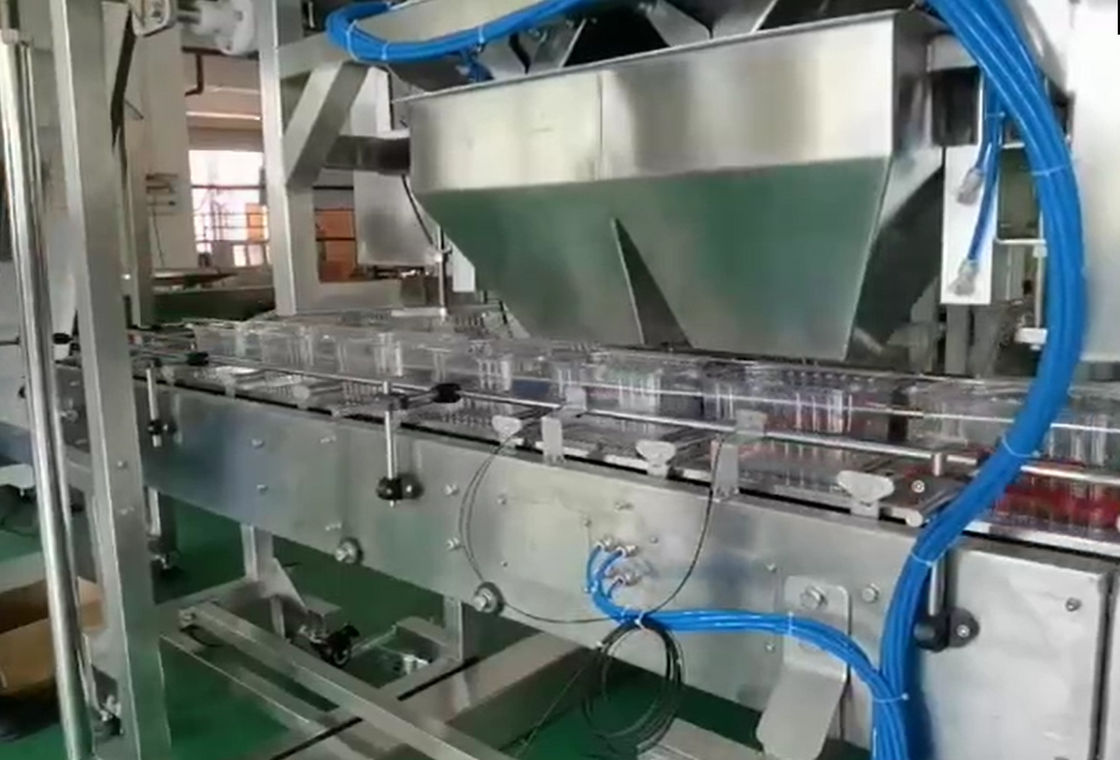 Hệ thống cân và đóng gói tự động cân nhiều đầu SUS304 cho trái cây đông lạnh Cherry trong hộp