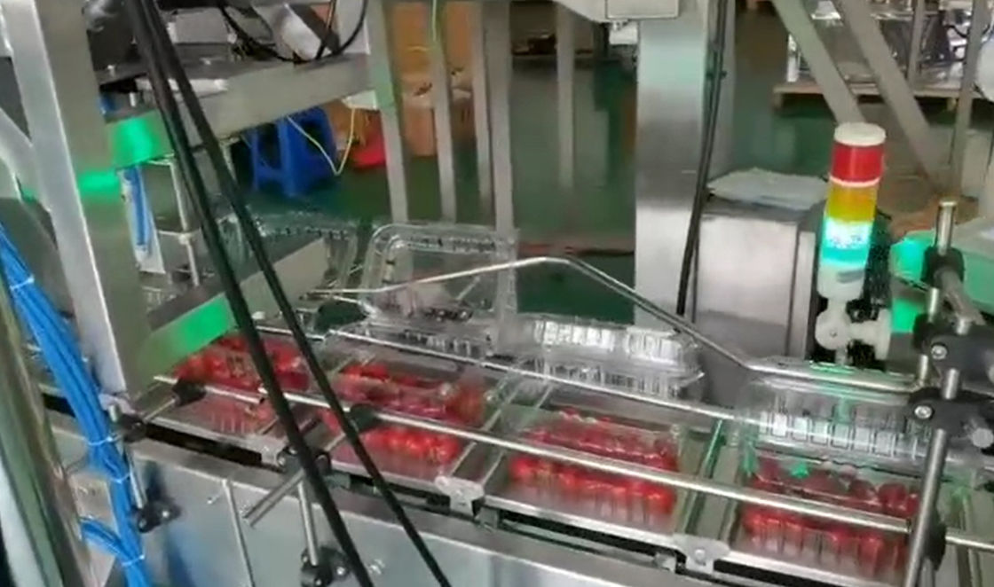 Hệ thống cân và đóng gói tự động cân nhiều đầu SUS304 cho trái cây đông lạnh Cherry trong hộp