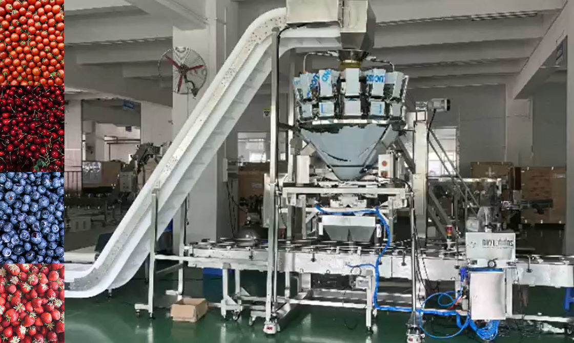 Hệ thống cân và đóng gói tự động cân nhiều đầu SUS304 cho trái cây đông lạnh Cherry trong hộp