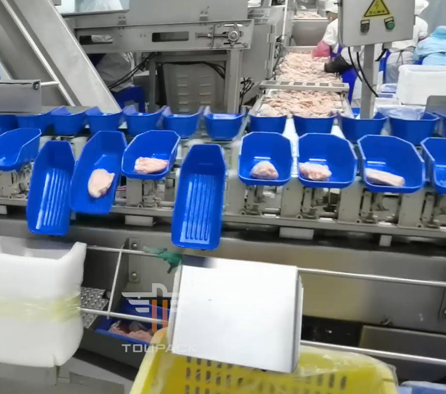 Máy phân loại trọng lượng đa đầu tròn an toàn cho thực phẩm biển 300 lần / phút