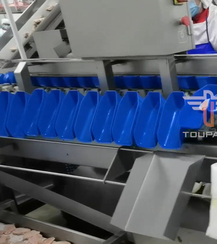 Máy phân loại trọng lượng đa đầu tròn an toàn cho thực phẩm biển 300 lần / phút