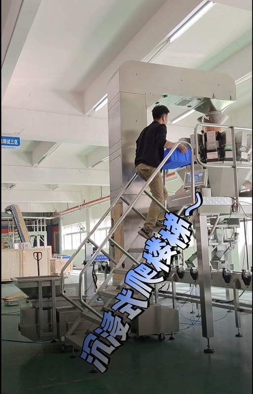 Băng tải gầu nghiêng Z bằng thép không gỉ làm việc với máy cân nhiều đầu 10/14 đầu