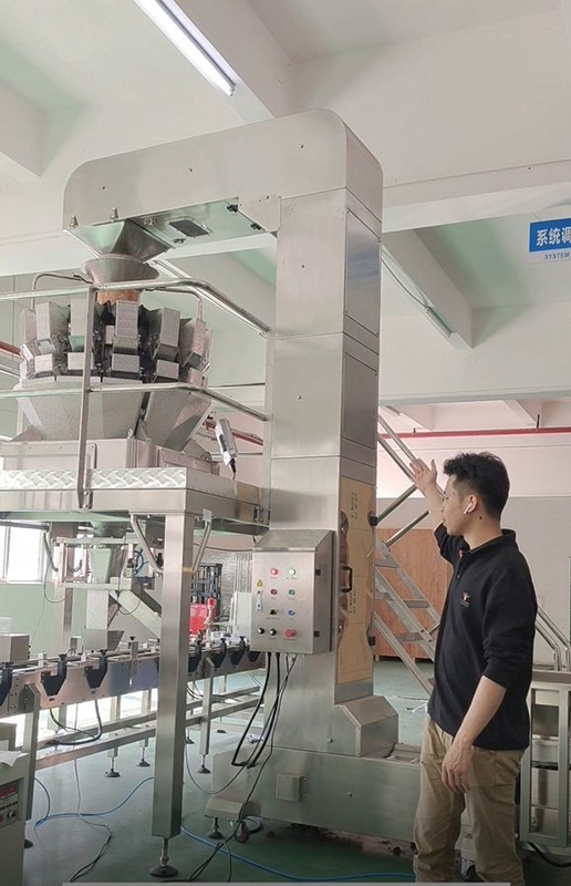Băng tải gầu nghiêng Z bằng thép không gỉ làm việc với máy cân nhiều đầu 10/14 đầu