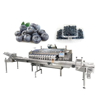 Automatic Fruit Punnet Packing Machine For Blueberry Strawberry Cherry Tomato