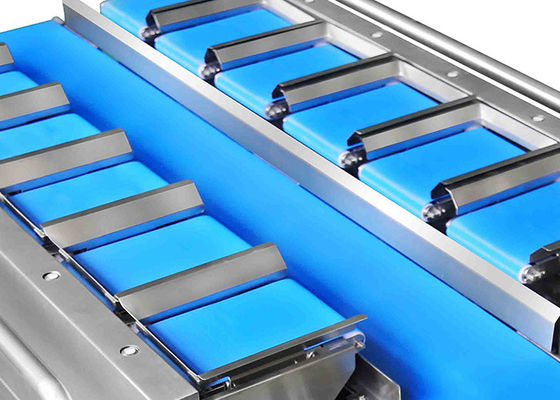 Máy đóng gói rau quả IP65 12 vành đai được chứng nhận ISO Máy cân rau quả