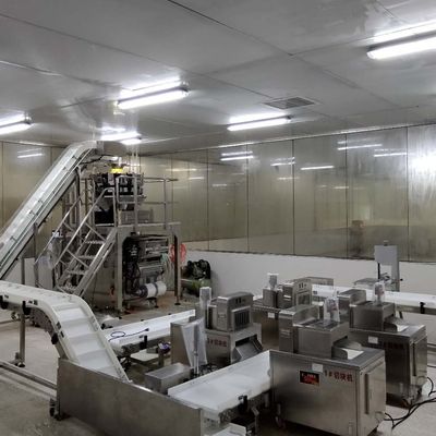 Hệ thống phân loại băng tải ISO9001