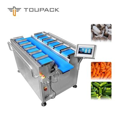 TOUPACK Băng tải quy mô vành đai