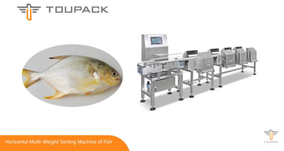 Máy phân loại trọng lượng 500g