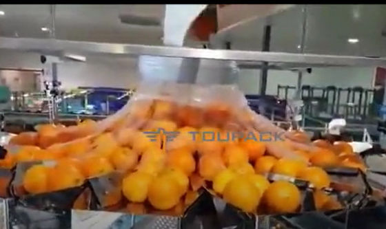 Máy đóng gói rau quả cam tự động có lưới
