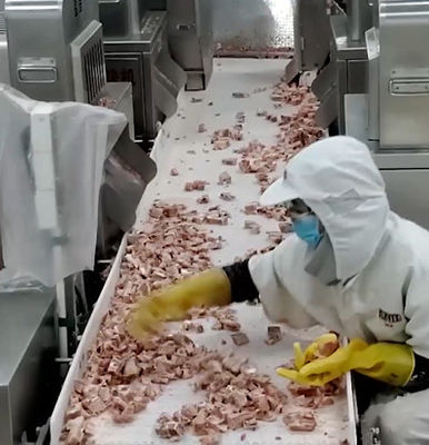 Máy đóng gói cân nhiều đầu 20 túi / phút cho sản phẩm xương thịt lạnh