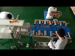 Đường cân dây đai cho máy cân trái cây và máy lấp hộp