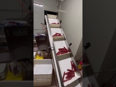 Hệ thống cân và vận chuyển tự động cho xúc xích hình dài, hot dog