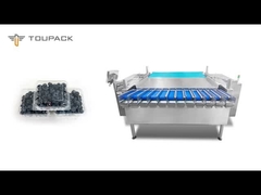 Máy đóng gói trái cây và rau quả tự động Vffs Multihead Weigher hộp salad máy đóng gói