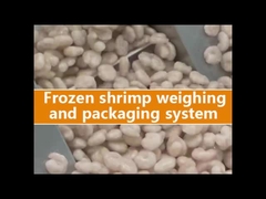 Máy đóng gói cân đa đầu cho túi xách