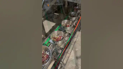 Dây chuyền đóng gói cân trộn thức ăn cho vẹt với máy cân định lượng đa đầu 32 đầu